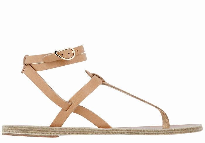 Sandales Bride Cheville Ancient Greek Sandals Estia Leather   | JCX-3280346